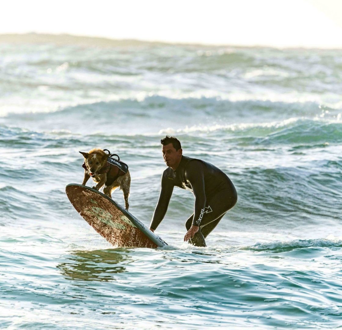 pexels-guy-kawasaki-783630-1654493